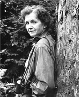 rachel carson tree leaning binoculars